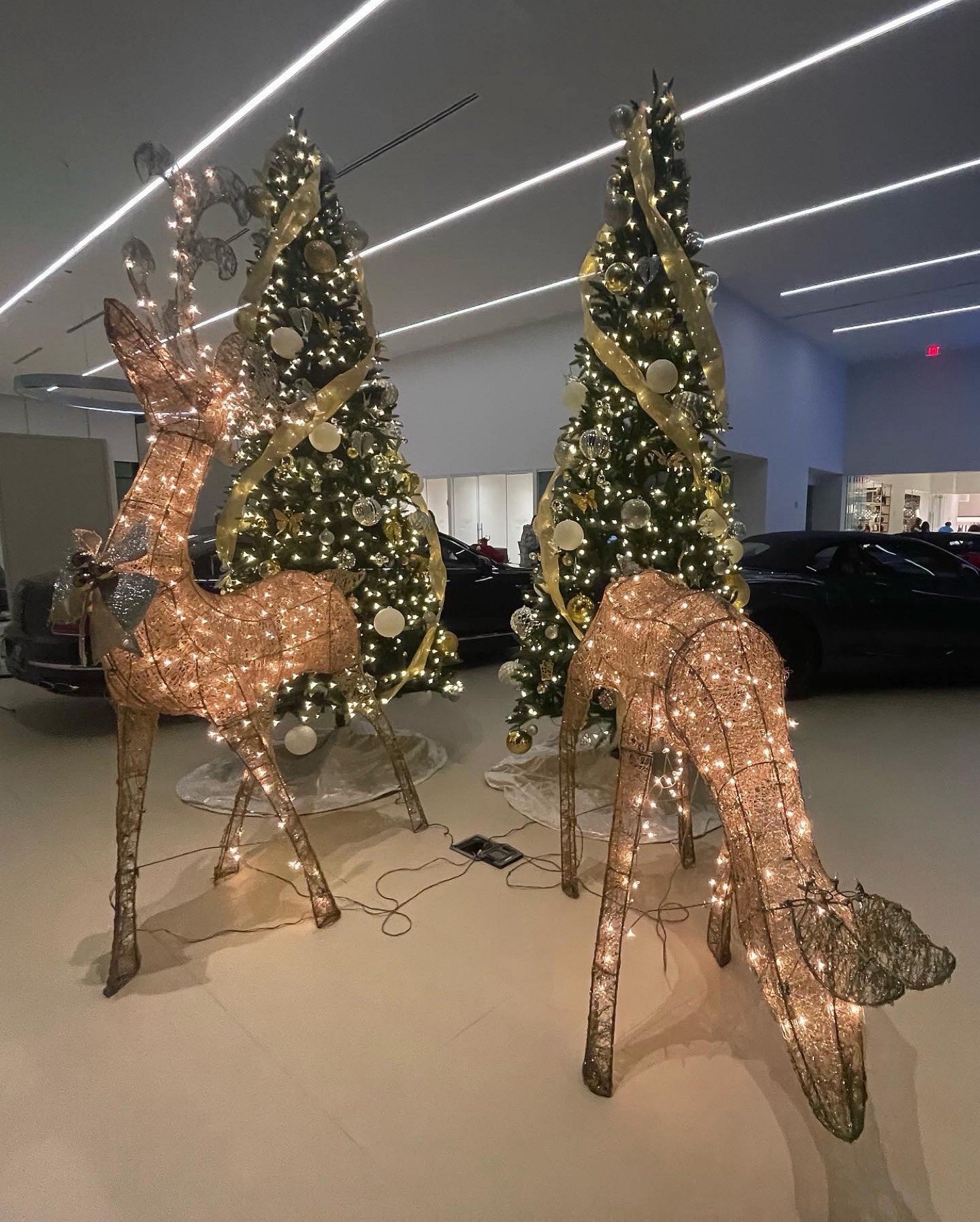 Showroom trees with gold ribbon and lighted wire reindeer